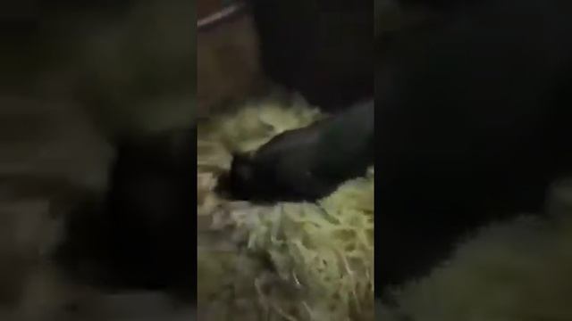 Самая Дорогая Криптовалюта))Приколы 2021, лучшее видео 2022, юмор юмор смотреть онлайн