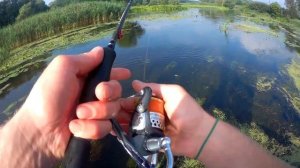 Ловля красноперки. Как наловить много красноперки на реке?