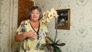 Как ухаживать за орхидеей чтобы она цвела много лет