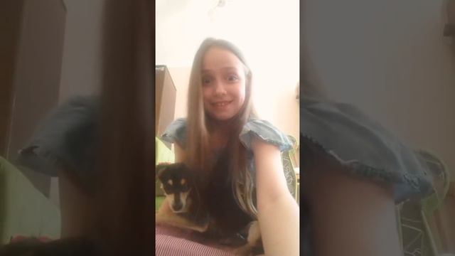 Дресировка с Мишель и как научить собаку дресироваться|Darinanana Darina по Русски смотреть онлайн