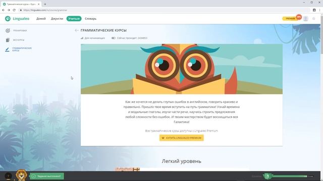 Обзор Lingualeo - изучение английского языка с нуля онлайн. Как выучить английский язык с ЛингваЛео смотреть онлайн