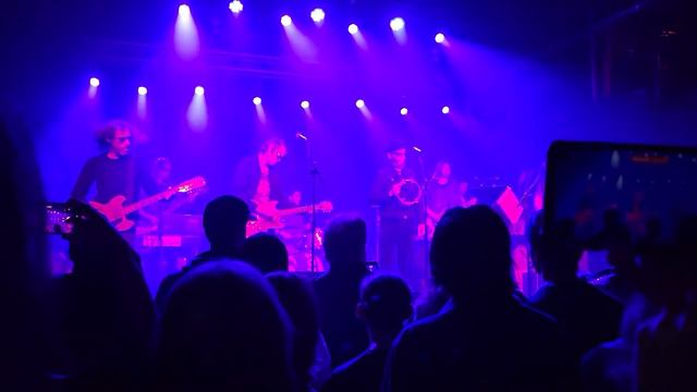 The Brian Jonestown massacre - Anemone смотреть онлайн