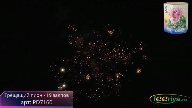 Трещащий пион| фейерверк| салют смотреть онлайн