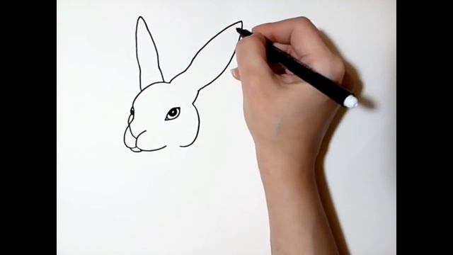 How to draw a rabbit Step by Step/ Kako nacrtati zeca Korak po Korak смотреть онлайн