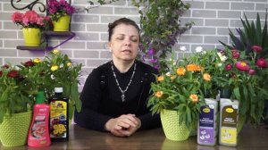 Вам нужно посадить Гелихризум ✿ Бессмертный сухоцвет