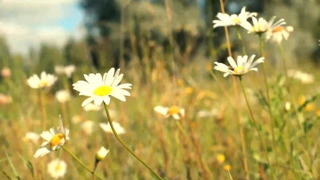 ТРЕТИЙ ТОСТ  Вениамин Кротов