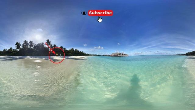 Shovelware's Brain Game Finding Challenge 360 degree video смотреть онлайн