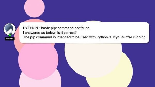 PYTHON : bash: pip: command not found