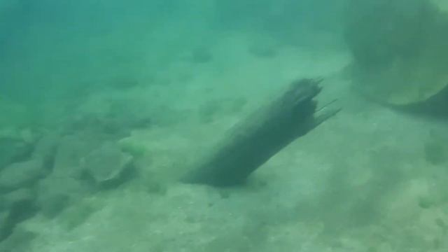 Озеро Тургояк подводная сьемка😀 смотреть онлайн