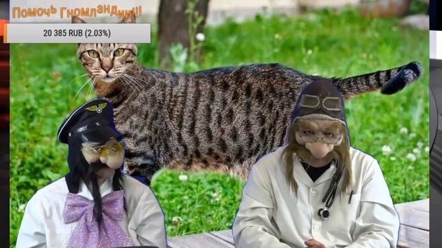О кошках, и не только... смотреть онлайн