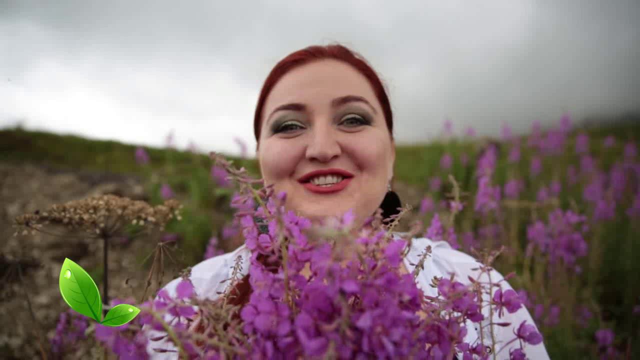 Кардаг(ТРАВЫ) Иван чай смотреть онлайн