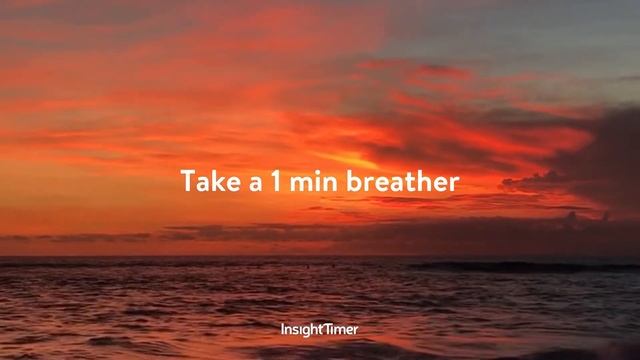 Pause & Be - Short Mindfulness Exercise | Meditation & Mindfulness | Insight Timer смотреть онлайн