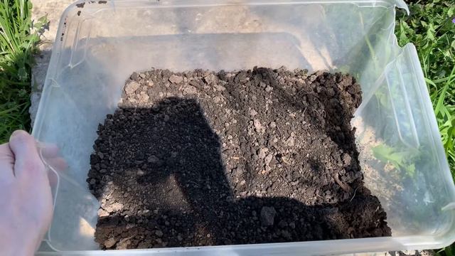 Аквариумные растения. Посадка в тепличку смотреть онлайн