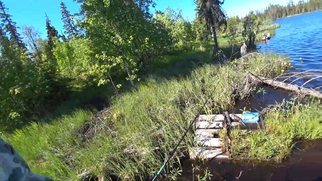 Рыбалка на озере Щучье. Ловля щуки и окуня. Ночь под тентом. смотреть онлайн