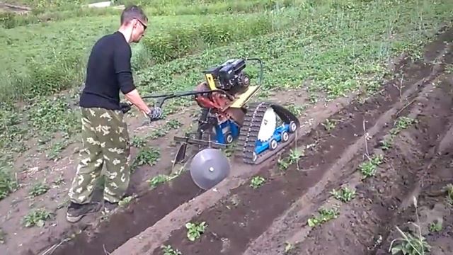 Окучивание картофеля. Мотоблок Каскад с гусеничным приводом. смотреть онлайн