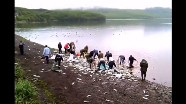 Браконьеры смотреть онлайн