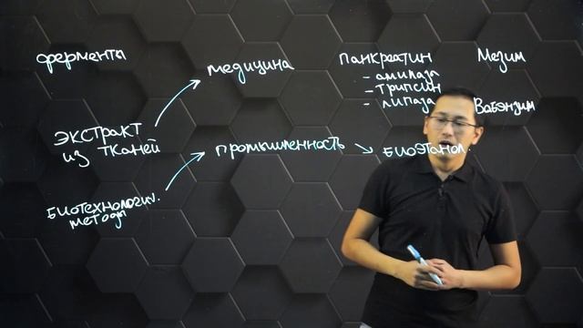 Применение ферментов в медицине, химии и промышленности. 11 класс. смотреть онлайн