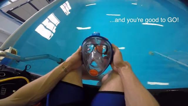 Диоптрические линзы для масок OceanReef смотреть онлайн