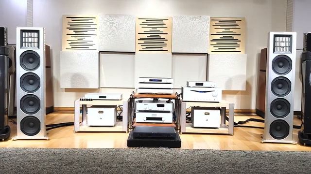 12 Neprime Evolutuon One Monoblock PowerAMP + PIEGA Coex 711 смотреть онлайн