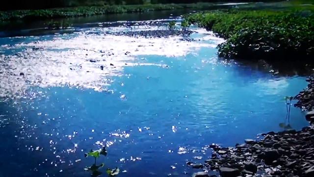 Красоту природы севера летом лучше один раз увидеть, чем .... смотреть онлайн