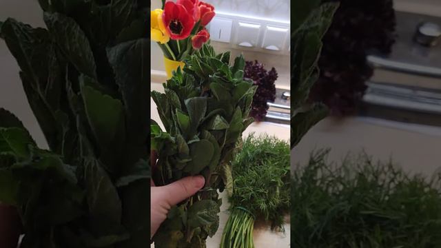 СЕЛО. Обзор зелени смотреть онлайн