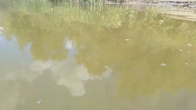 о судьбе смотреть онлайн