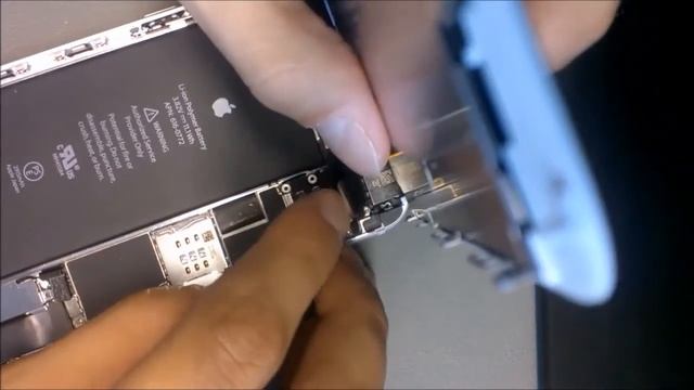 Не фокусируется камера iPhone 6 Plus. Замена основной камеры на Айфон 6 плюс смотреть онлайн