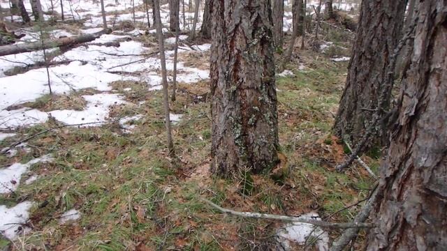 Вспомогательные способы ориентирования. Часть 18 смотреть онлайн