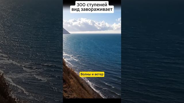 Море, волны, 300 ступеней #пляж #море #shorts смотреть онлайн