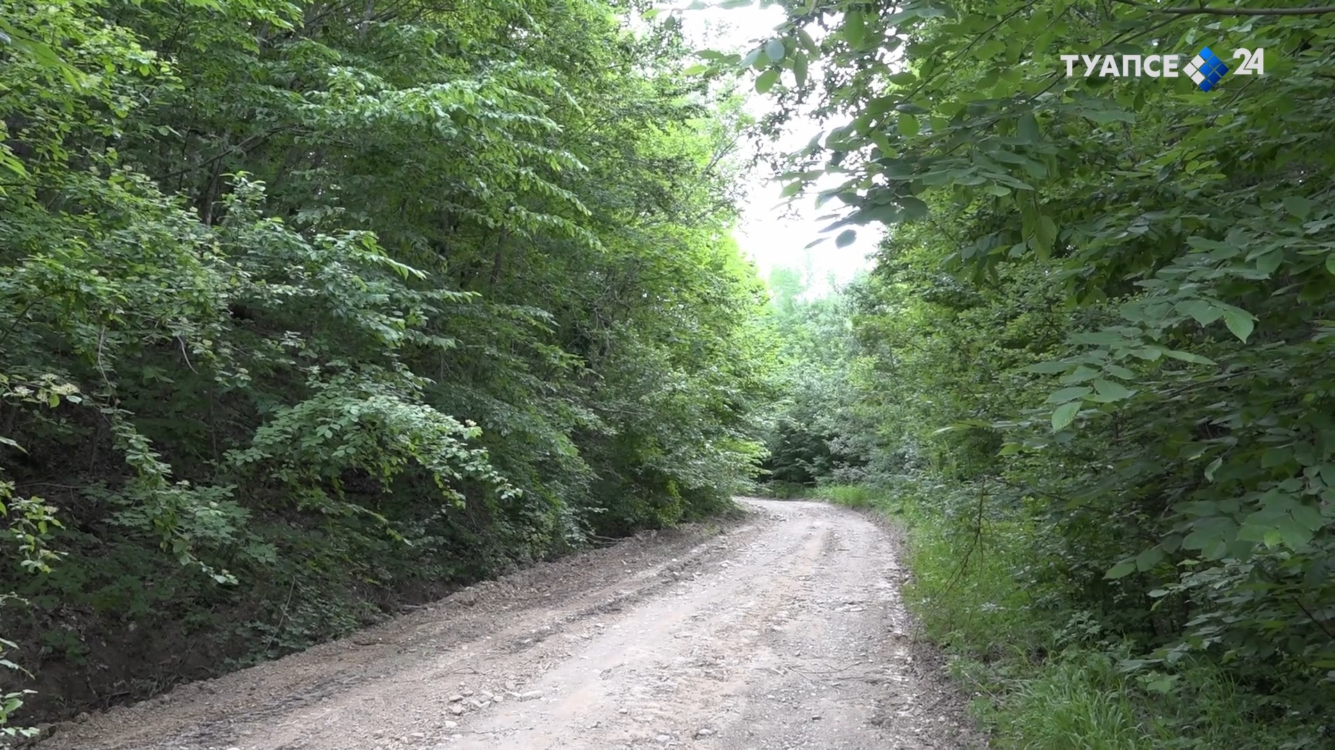 В Афапостике восстановили дорожное покрытие