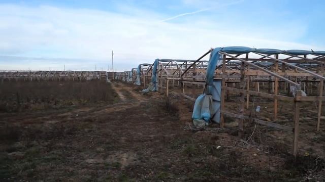 Дешевая китайская теплица. Теплица своими руками. смотреть онлайн