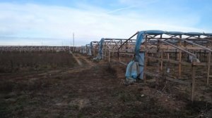 Дешевая китайская теплица. Теплица своими руками.