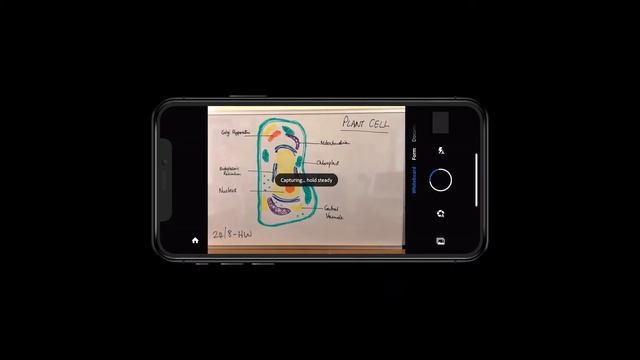 Combining Multiple Pages with Adobe Scan | Acrobat DC for Educators смотреть онлайн