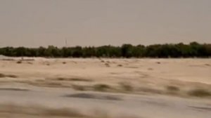 История математики  1  Язык Вселенной