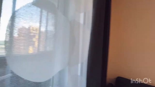 ПРИГОРОД ЛЕСНОЕ. Продажа квартиры-студии. Жилой комплекс смотреть онлайн