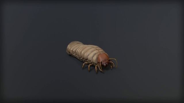 Insect Larva - Animated 3D game character - 3DiggerArt смотреть онлайн