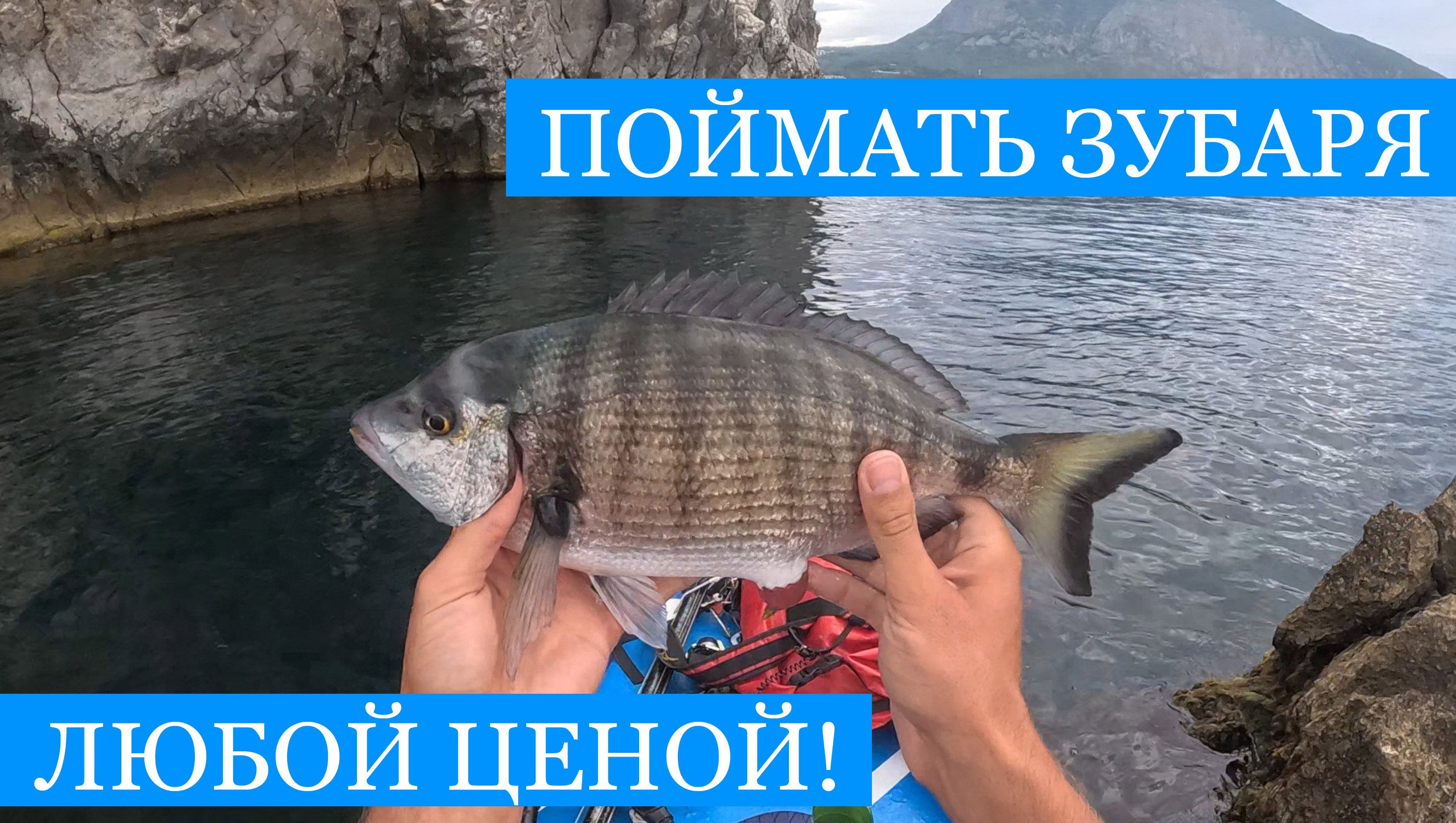 Как поймать ЗУБАРЯ?? Крым в августе! Снасти и наживка, Рыбалка и охота, Ночёвка и готовка на сапе! смотреть онлайн