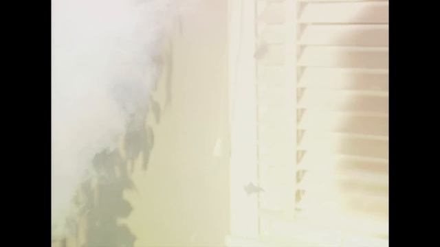 The Unabomber | FULL EPISODE | The FBI Files