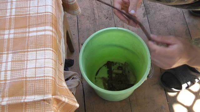 Первые находки смотреть онлайн