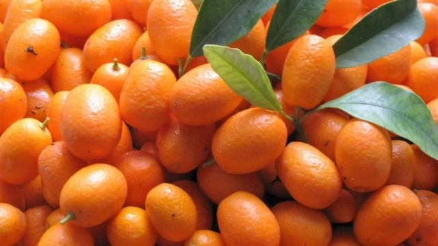 кумкват смотреть онлайн