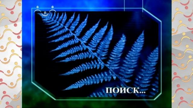 АЗН Биология. Как пауки плетут паутину смотреть онлайн