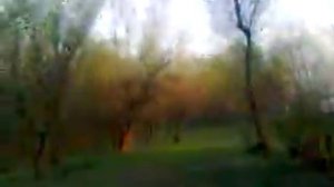 Весенняя рыбалка на Ахтубе в Селитрянном