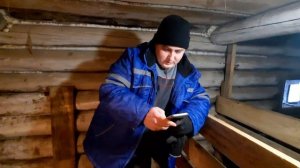 Как проглистогонить свиней. Дегельминтизация поросят.