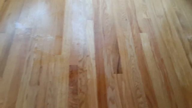 Tiffany shows us RAVA Mist and Mop смотреть онлайн