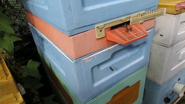 улей с пчелами, который не надо осматривать весь сезон - часть 1 - конструкция улья смотреть онлайн