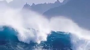 клип новый вариант В мире животных