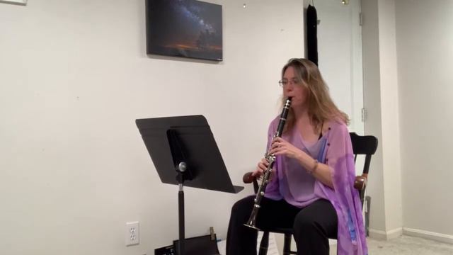 The Little Mermaid, played with the clarinet смотреть онлайн