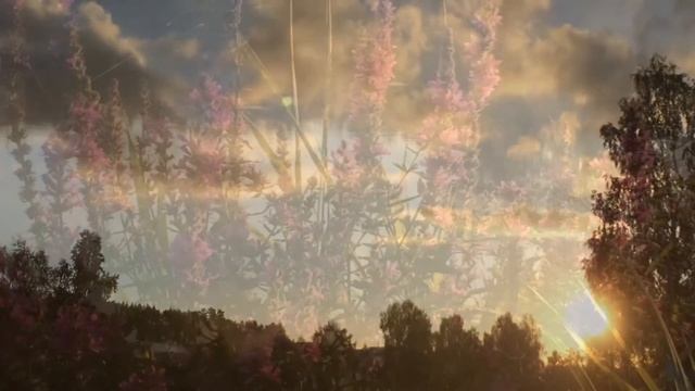 Красивый летний вечер / A beautiful summer evening смотреть онлайн