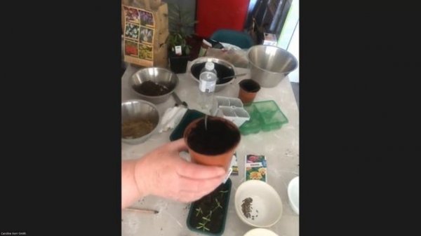 Fabulous Flowers for Cutting