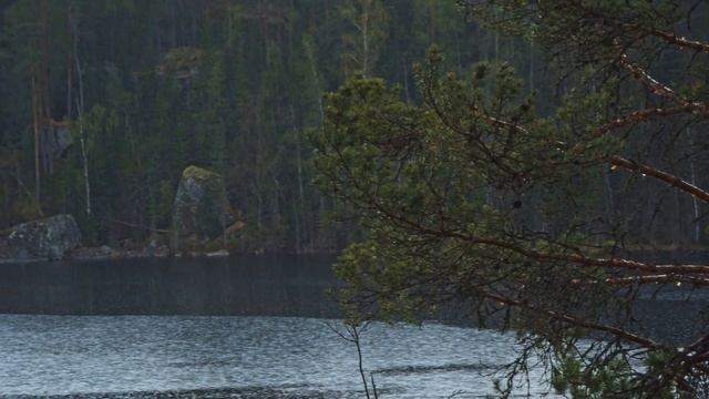 Тропа Хо Ши Мина. 35 километров пешком за один день, гроза и кабаны... смотреть онлайн